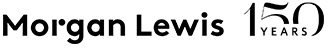 immigration-law-seo-logo-03